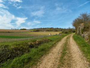 Rando journée - Lundi 16 octobre - 9h00 - Germagny