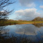 280px-Etang_de_Brandon_-_Décembre_2011