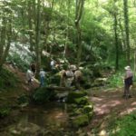 Rando demi-journée - Lundi 2 Septembre -14h00 -  Collonge en Charolais