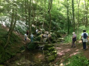 Rando journée- Lundi 23 Mars - 14h00 - Sassangy