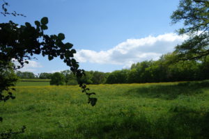 Rando journée- Lundi 2 Mars - 14h00 - Sigy-Le-Châtel